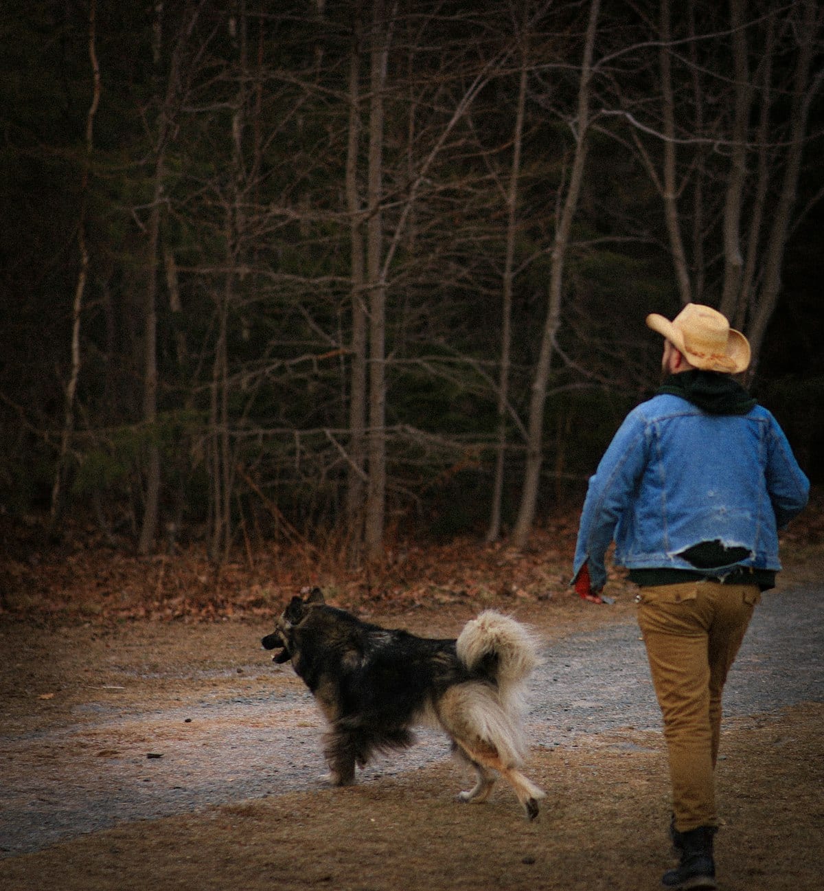 Dog photo: Best Dog Frisbees for 2026: 7 Picks That Fly Far and Last
