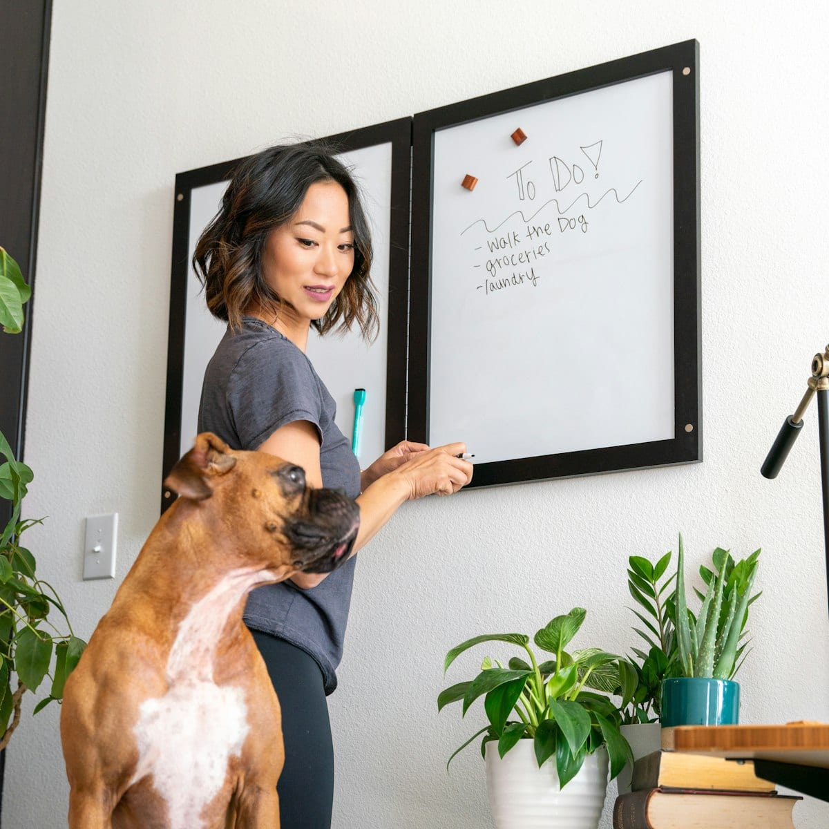 Dog photo: First Aid for Dog Owners