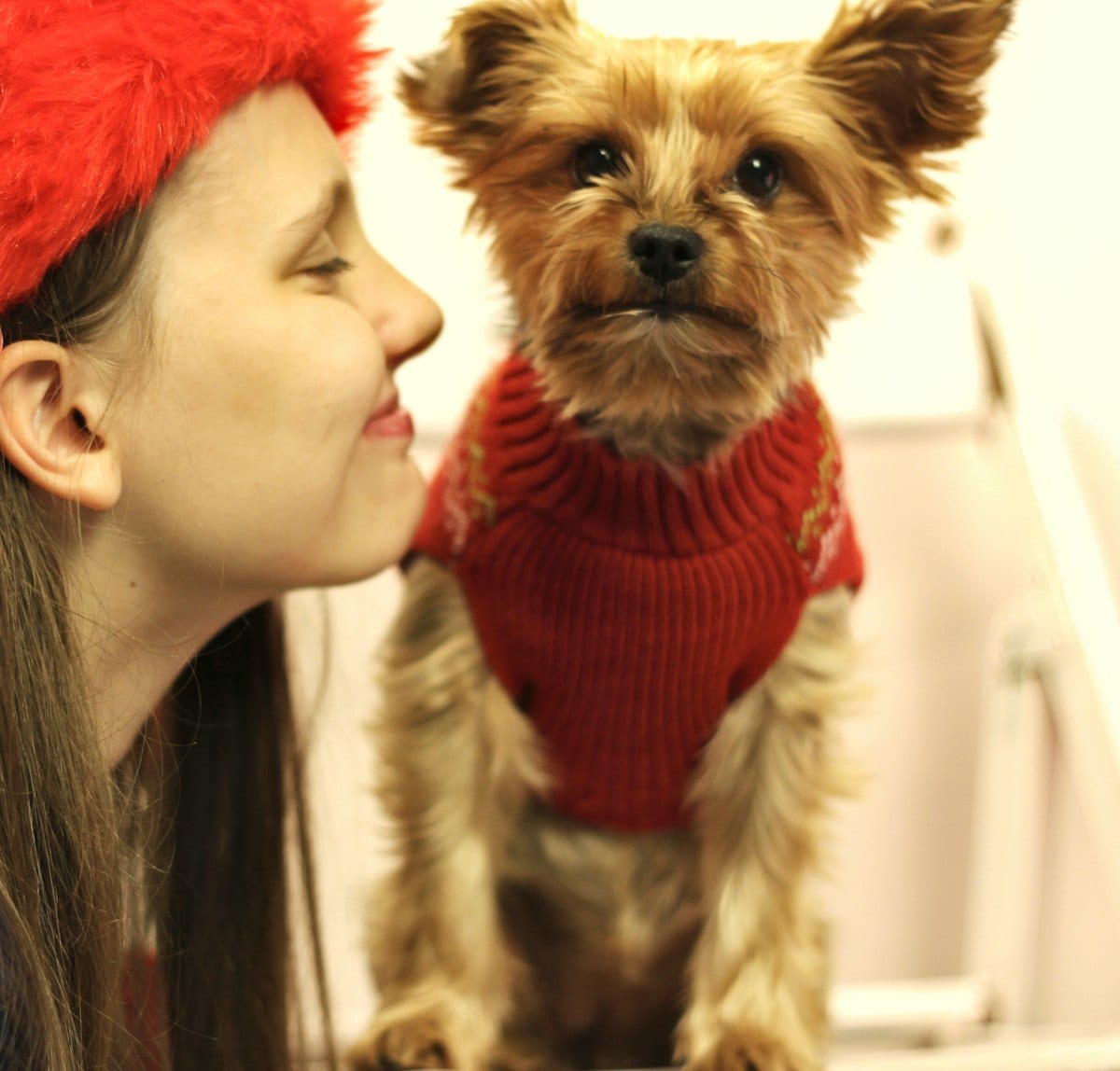 Dog photo: Canine Distemper